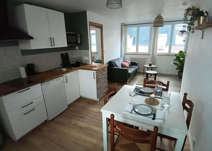 Appartement Appart Lumineux En Centre-ville *