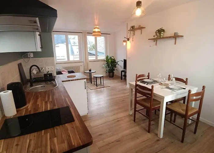 Appart Lumineux En Centre-ville Appartement